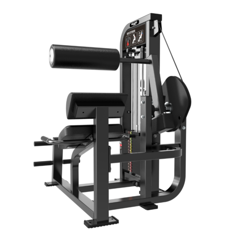 Zdjęcie produktu Back Extension GRAND 5