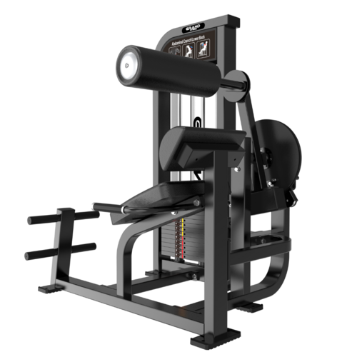 Zdjęcie produktu Abdominal Crunch/Low Back 5