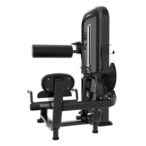 Zdjęcie produktu Abdominal Crunch/Lower Back 5