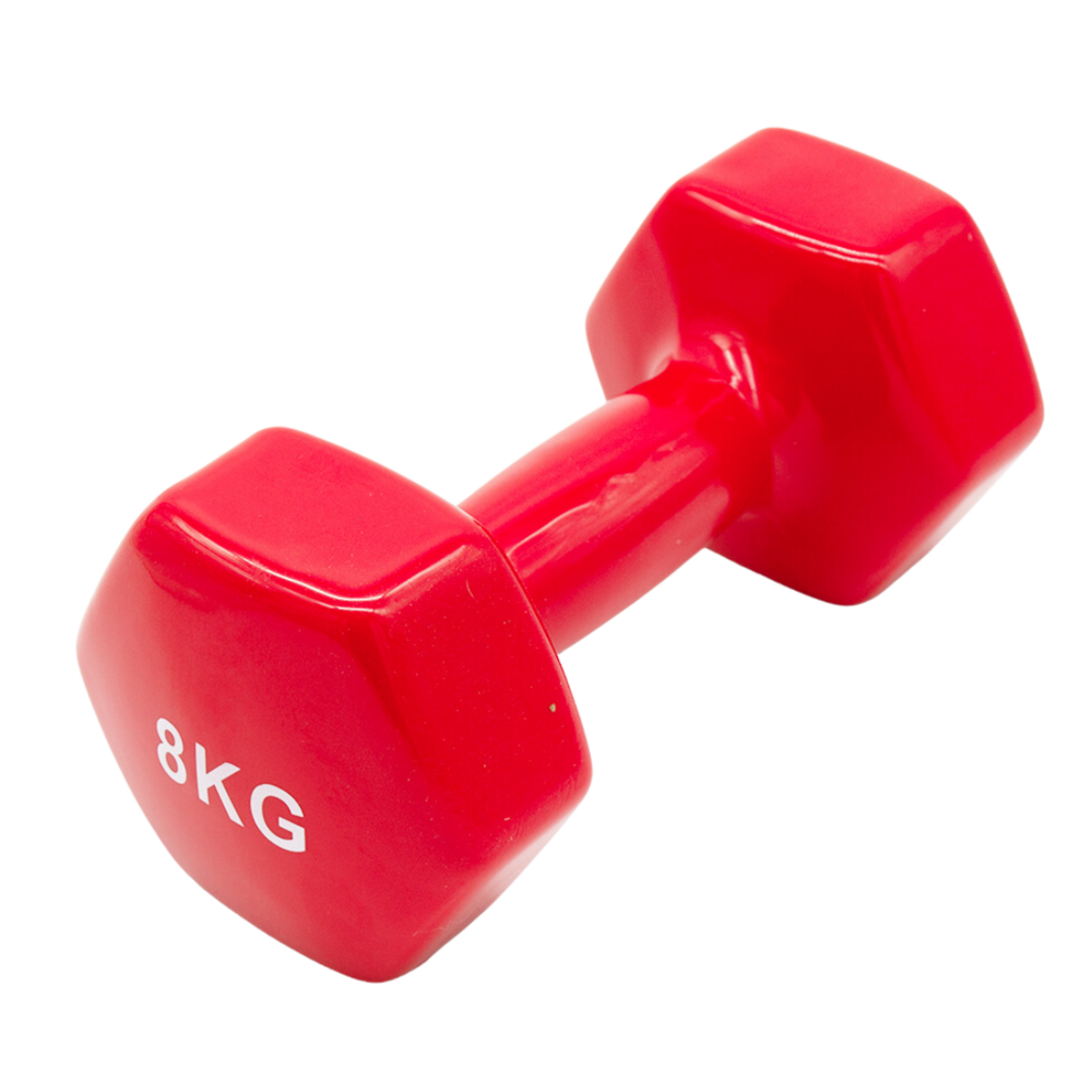 Product photo Fitness Dumbbell 8kg